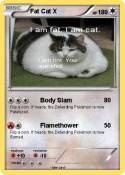 Fat Cat X