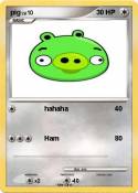pig