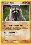 Raccoon-attata