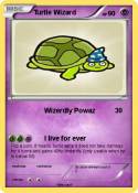 Turtle Wizard