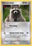 Raccoon-attata