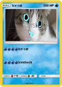 Ice cat