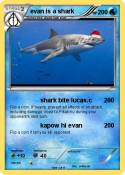 evan is a shark
