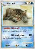 kitten lord