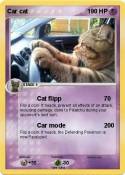 Car cat