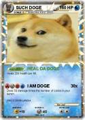 SUCH DOGE