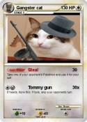 Gangster cat