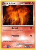 Forest fire!