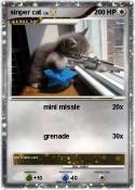 sinper cat
