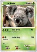 mr. koala