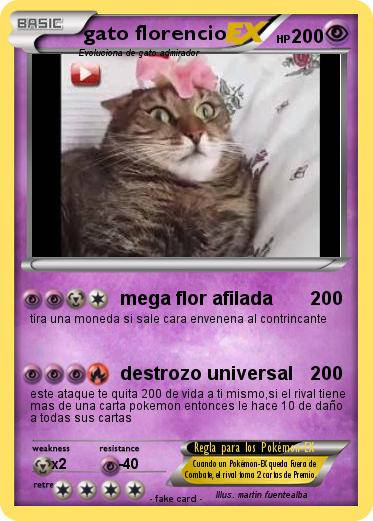 Pokemon gato florencio