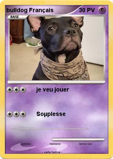 Pokemon bulldog Français