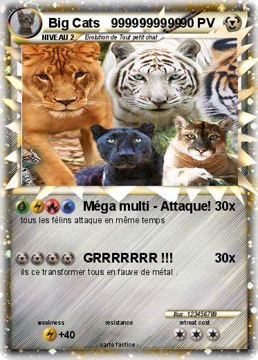 Pokemon Big Cats   9999999999