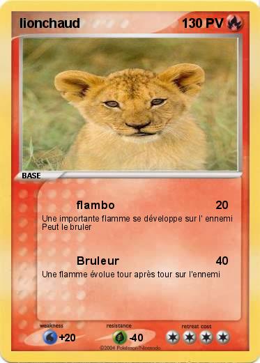 Pokemon lionchaud