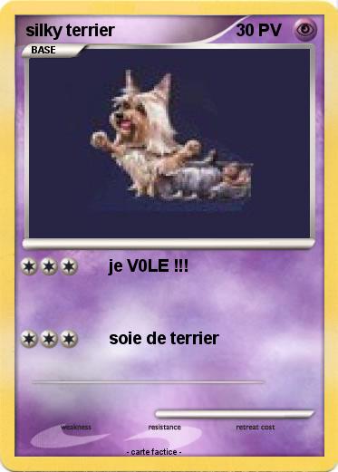Pokemon silky terrier