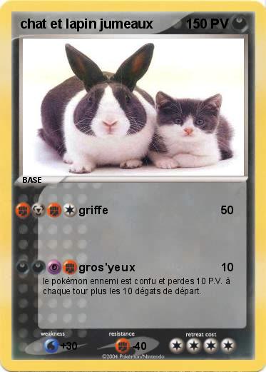 Pokemon chat et lapin jumeaux