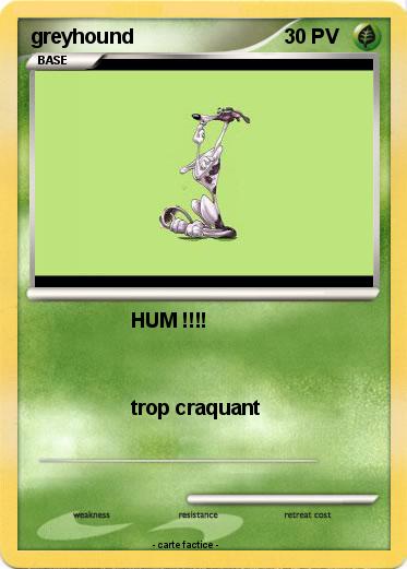 Pokemon greyhound