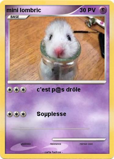 Pokemon mini lombric