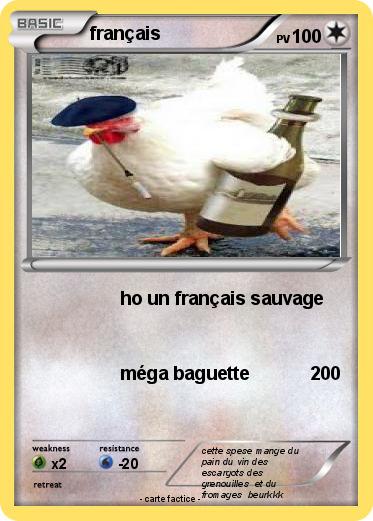 Pokemon français