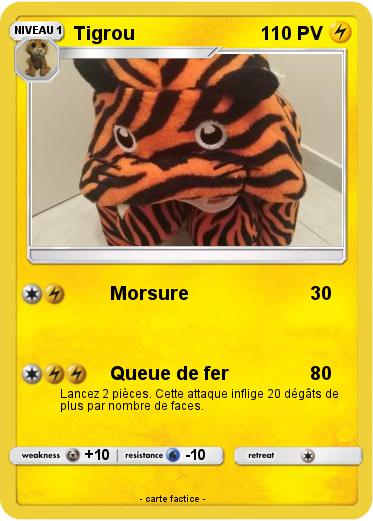 Pokemon Tigrou