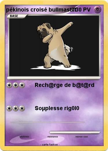 Pokemon pékinois croisé bullmastiff