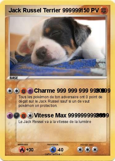 Pokemon Jack Russel Terrier 999999