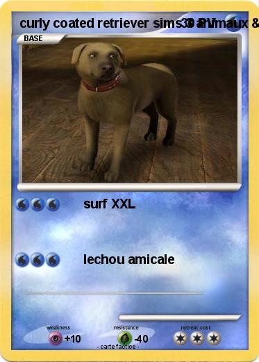 Pokemon curly coated retriever sims 3 animaux & cie