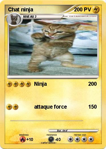 Pokemon Chat ninja