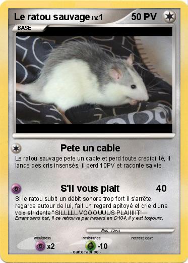 Pokemon Le ratou sauvage