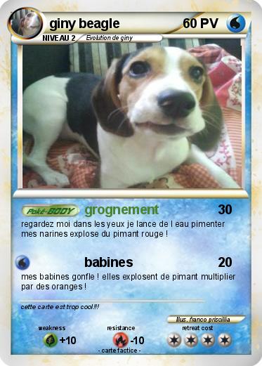 Pokemon giny beagle