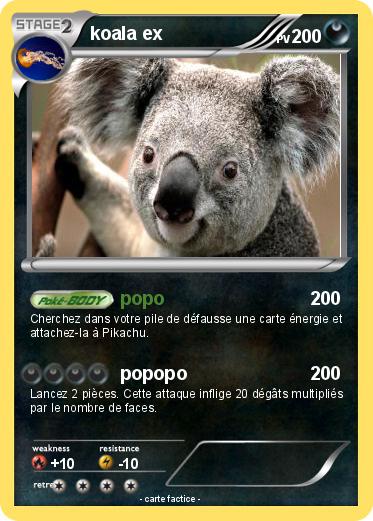 Pokemon koala ex
