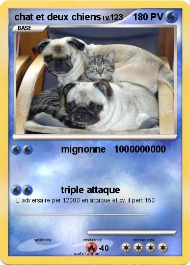 Pokemon chat et deux chiens
