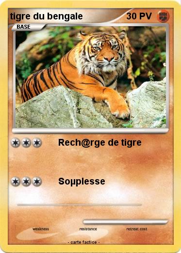 Pokemon tigre du bengale
