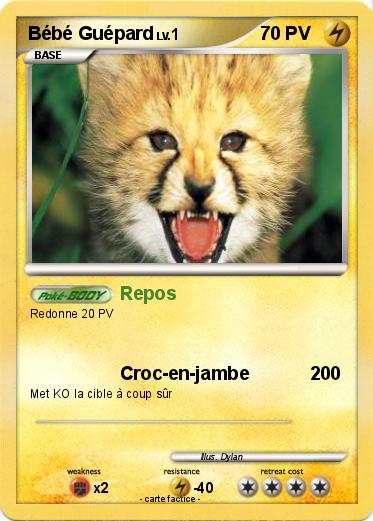 Pokemon Bébé Guépard