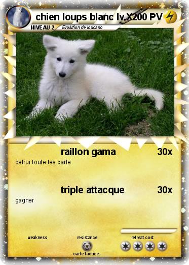 Pokemon chien loups blanc lv.X