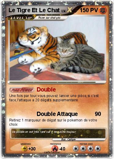 Pokemon Le Tigre Et Le Chat