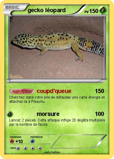 Pokemon gecko léopard