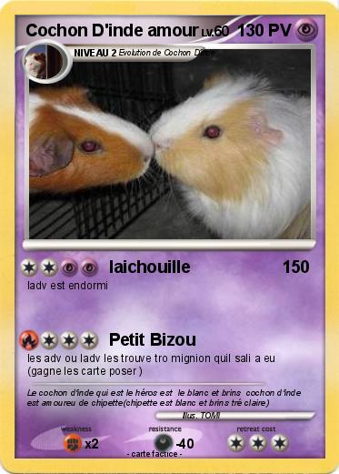 Coloriage De Cochon D Inde