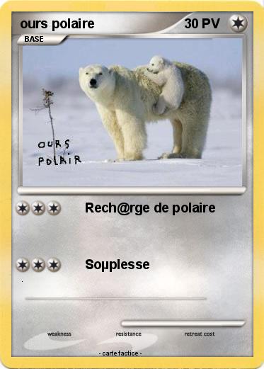 Pokemon ours polaire