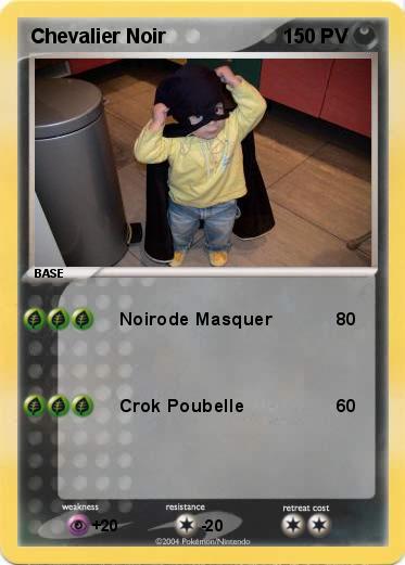 Pokemon Chevalier Noir