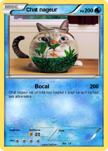 Pokemon Chat nageur