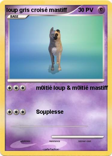 Pokemon loup gris croisé mastiff