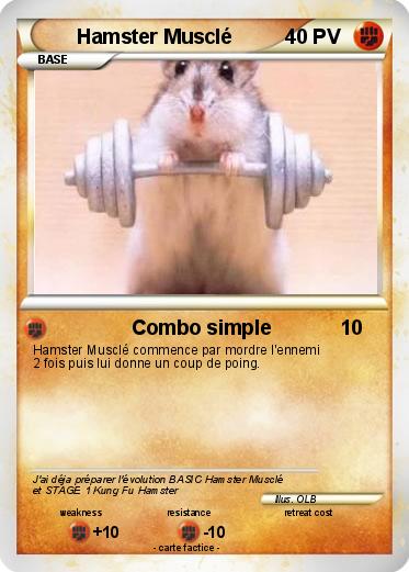 Pokemon Hamster Musclé
