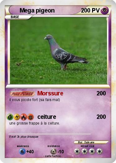Pokemon Mega pigeon