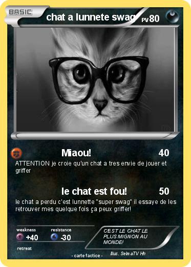 Pokemon chat a lunnete swag