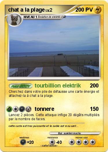 Pokemon chat a la plage