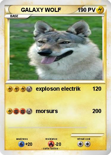 Pokemon GALAXY WOLF