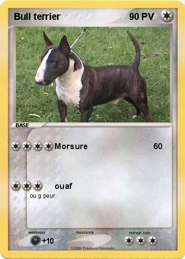 Pokemon Bull terrier