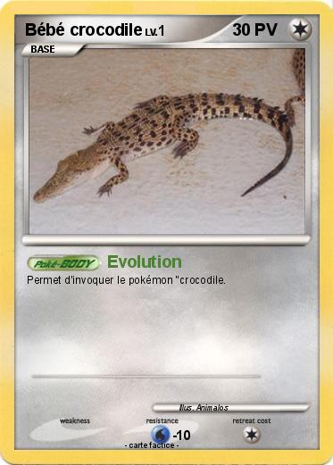 Pokemon Bébé crocodile