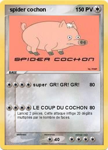 Pokemon  spider cochon 
